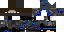 Texture for NinJa