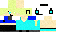 Texture for sam