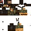 Texture for Joel