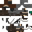 Texture for Assassin
