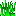 Texture for grass