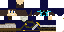Texture for Creeper Zelda