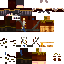 Texture for h
