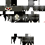 Texture for skeleton