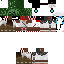 Texture for bg