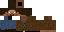 Texture for Steve