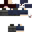 Texture for Fixed Minecraft Diaries Kidcrafter2