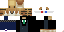 Texture for intro gameplays