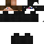 Texture for Rollerr_