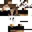 Texture for Golden