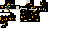 Texture for Torts shell cat