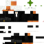 Texture for CARROT JUDGE