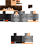Texture for Bajs