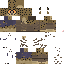 Texture for Rags to Bitches