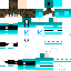 Texture for かめた