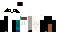 Texture for Char