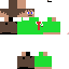 Texture for 31243