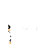 Texture for Tail