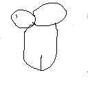 Texture for sus