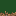 Texture for grass_side