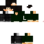 Texture for Lion