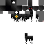 Texture for losh
