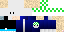 Texture for cogui12