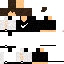Texture for SkyRyc