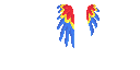 Texture for Parrot Wings