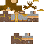 Texture for Monk