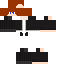 Texture for は