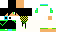 Texture for WASDEX