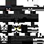 Texture for  X1