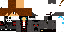 Texture for normal