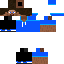Texture for Steve