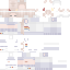 Texture for цав