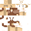Texture for FIXED Shelly