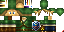Texture for Link