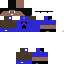 Texture for inteligencia max
