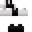 Texture for S3V3N