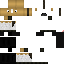 Texture for Inv 2