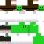 Texture for dexsi