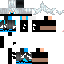Texture for ninja