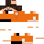 Texture for 5675