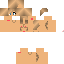 Texture for puta27