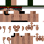 Texture for s
