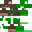 Texture for Rebel Trader