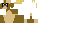 Texture for Pidgey