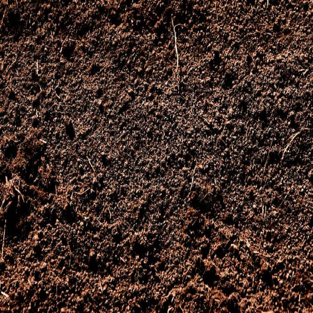 Texture for dirt.png