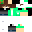 Texture for Icarooos1